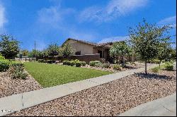 1861 E Aster Place, Chandler AZ 85286