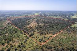 182 ACRES TBD CR 211, San Saba TX 76877