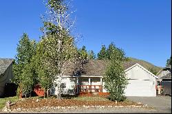 3221 Mountain Ash Drive, Hailey ID 83333