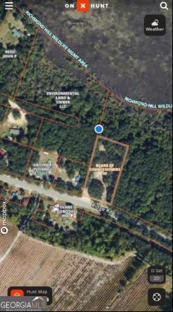 Briar Patch Lot #16 Place, Townsend GA 31331