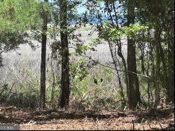 Briar Patch Lot #16 Place, Townsend GA 31331