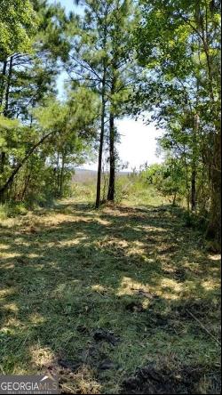 Briar Patch Lot #16 Place, Townsend GA 31331