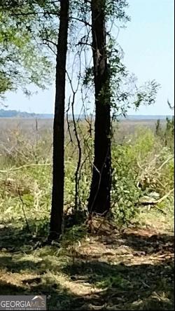 0 Briar Patch Lot #16 Place, Townsend GA 31331