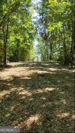 0 Briar Patch Lot #16 Place, Townsend GA 31331