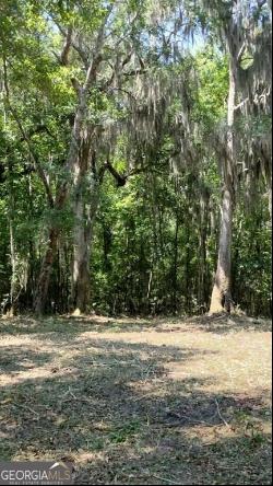 0 Briar Patch Lot #16 Place, Townsend GA 31331