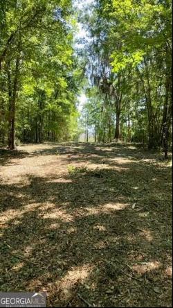 Briar Patch Lot #16 Place, Townsend GA 31331