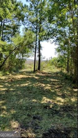 0 Briar Patch Lot #16 Place, Townsend GA 31331