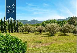 Prestigious property for sale on the hills next to the centre of Lucca, with olive groves 