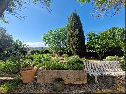 Domain in a charming Corbieres village