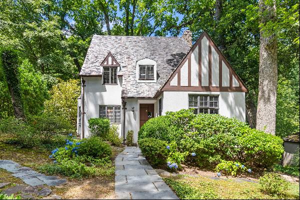 Clasic 4 Bedroom Old Edgemont Tudor