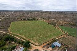 Leeuwdrift Farm, Adelaide, Eastern Cape, 5760