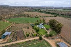 Leeuwdrift Farm, Adelaide, Eastern Cape, 5760