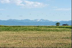 Incredible Teton Views