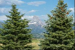 Incredible Teton Views