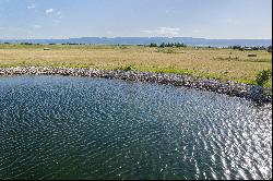 Incredible Teton Views