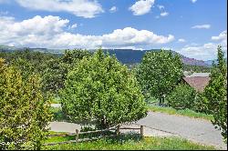 447 Neilson Gulch Road, Eagle CO 81631