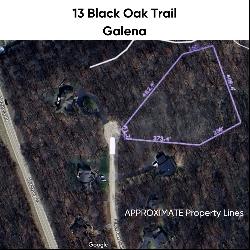 13 Black Oak Trail, Galena IL 61036