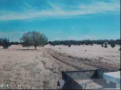 Lot 84 Juniperwood Ranch, Ash Fork AZ 86320