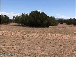 Lot 84 Juniperwood Ranch, Ash Fork AZ 86320