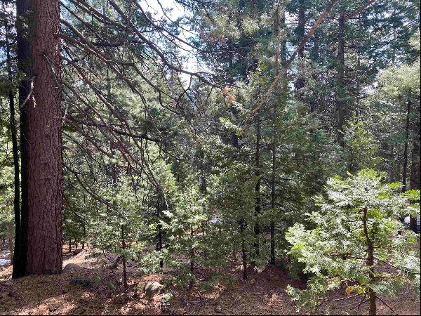 530 Bailey Creek Drive, Lake Almanor CA 96137