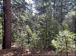 530 Bailey Creek Drive, Lake Almanor CA 96137