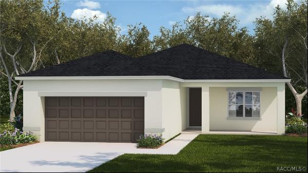 3686 W Lappula Lane, Citrus Springs FL 34433