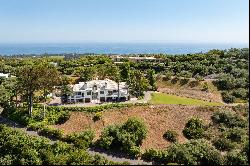 Stunning Mountain View Estate