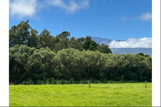 64-6133 OKADA FARMS PL,Kamuela, HI, 96743