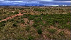 500+ Acres in Oklahoma Great for Hunting or Running Cattle