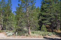 Almost 1/2 acre lot near the airport in South Lake Tahoe