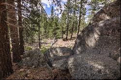 Almost 1/2 acre lot near the airport in South Lake Tahoe