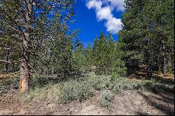 Almost 1/2 acre lot near the airport in South Lake Tahoe