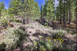 Almost 1/2 acre lot near the airport in South Lake Tahoe