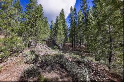 Almost 1/2 acre lot near the airport in South Lake Tahoe