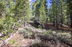 Almost 1/2 acre lot near the airport in South Lake Tahoe