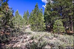 Almost 1/2 acre lot near the airport in South Lake Tahoe