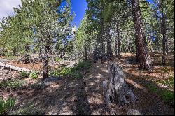 Almost 1/2 acre lot near the airport in South Lake Tahoe