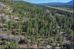 Almost 1/2 acre lot near the airport in South Lake Tahoe