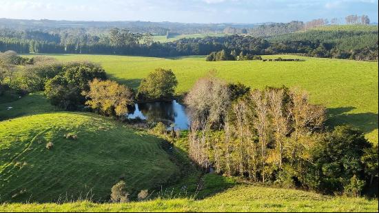 59f Riddell Road, Kerikeri, Northland, NEW ZEALAND