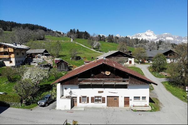 A farm with high potential and a small chalet.