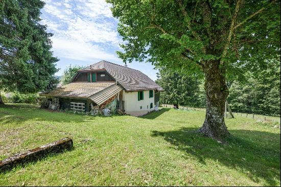 Chalet / Gîte with dormitories close to the Pléiades slopes