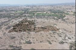 LOTE CRUZ DEL PALMAR