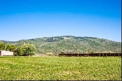 Tranquility and Views of Mt Timpanogos in Lazy Acres