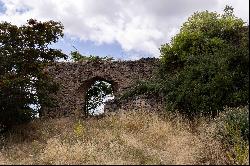 A Historic Jewel in the Heart of the Barranco del Rio Dulce Natural Park