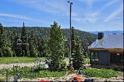 Chalets at Schweitzer