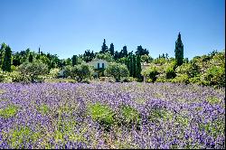 Maussane les Alpilles, 5 bedroom villa, swimming pool and 4 hectares of land