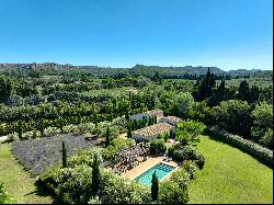 Maussane les Alpilles, 5 bedroom villa, swimming pool and 4 hectares of land