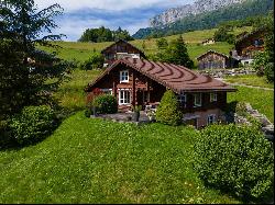 chalet with beautiful mountain view