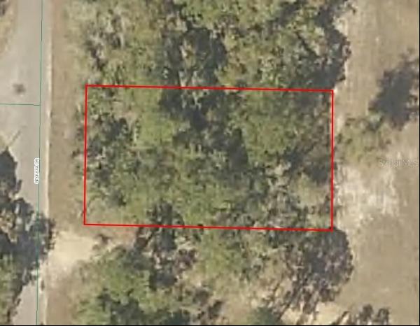 Sequoia Drive, Ocklawaha FL 32179