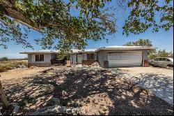 48414 Valley Center Road, Newberry Springs CA 92365